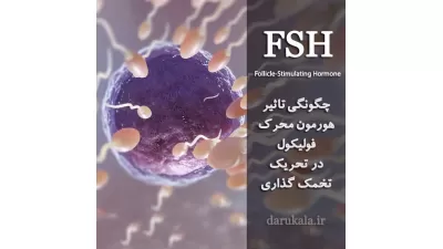FSH چیست؟ Follicle-Stimulating Hormone