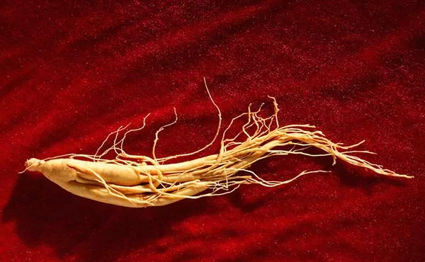 جینسینگ کره ای در داروخانه آنلاین داروکالا