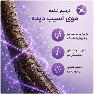 ماسک موی ترمیم کننده کاندید