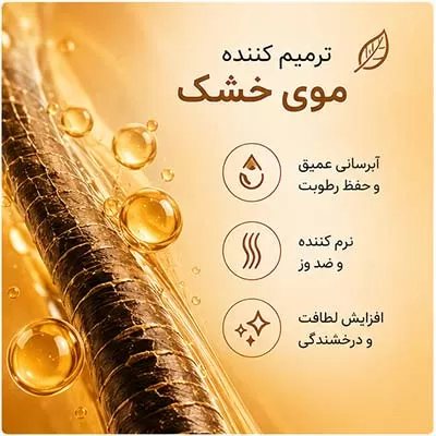 خرید ماسک ترمیم کننده موی کاندید