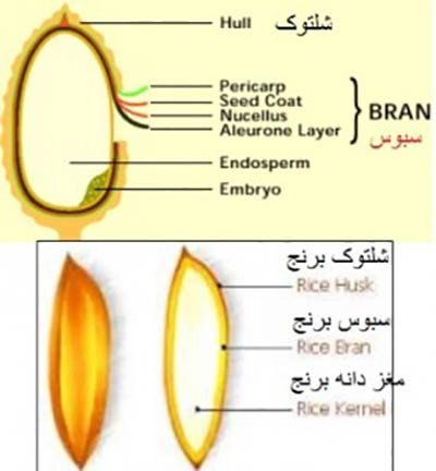 خرید سبوس برنج دکتر سبوس