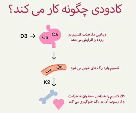 کادودی چیست