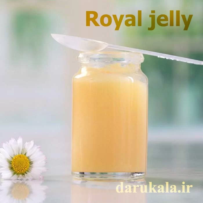 رویال ژلی چیست