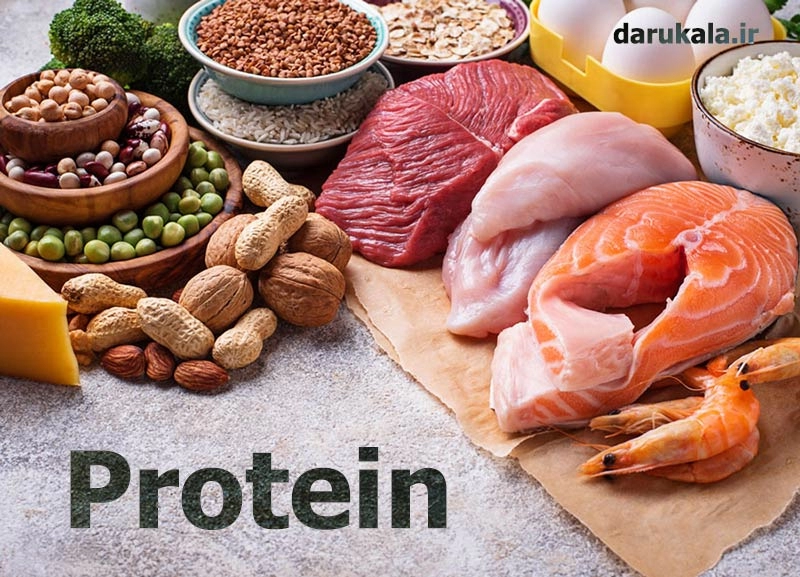 مواد غذایی حاوی پروتئین