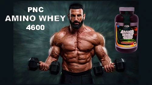 قرص آمینو 4600 پی ان سی در داروخانه آنلاثین دارو کالا