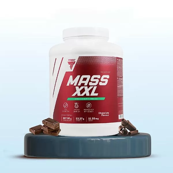 مس گینر ایکس ایکس ال ترک قیمت