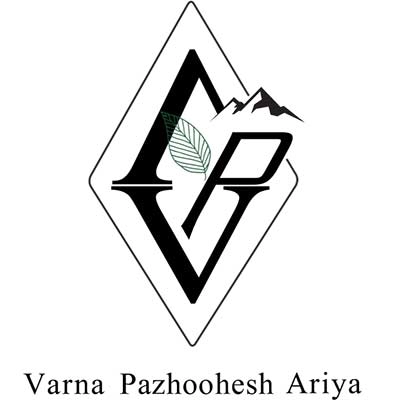 گرین وی پی ای