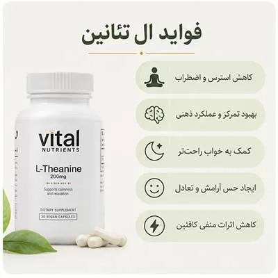 مزایای کپسول ال تئانین وایتال نوترینتس