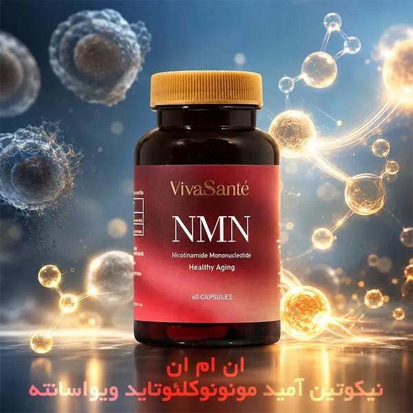 ان ام ان برای چیست؟
