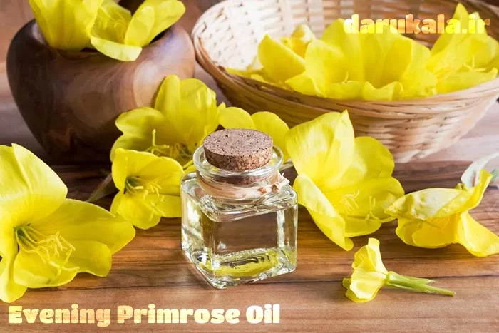 ایونینگ پریم رز یا روغن گل مغربی چیست