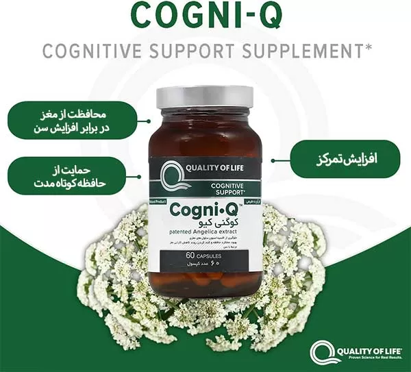 کپسول کوگنی کیو برای مغز