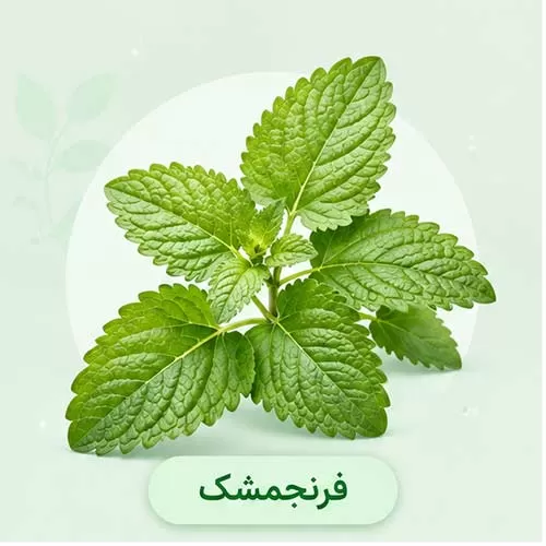 فرنجمشک چیست