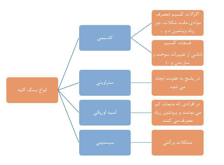 انواع سنگ کلیه