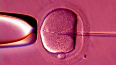 لقاح  مصنوعی