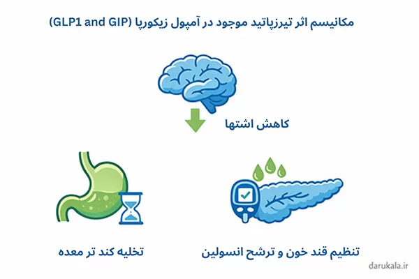 امپول زیکورپا عبیدی