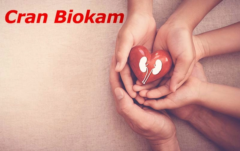 کرن بایوکام بنیان طب آکام