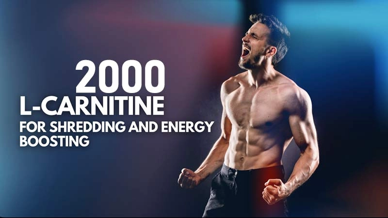 ویال ال کارنیتین 2000 آلامو