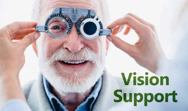 vision support