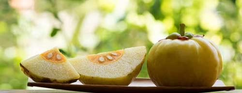 کپسول ترمو اسلیم 