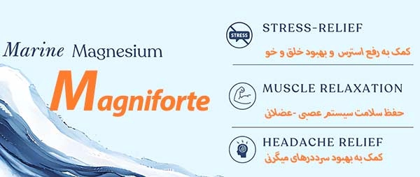 کپسول مگنی فورت آرین سلامت سینا