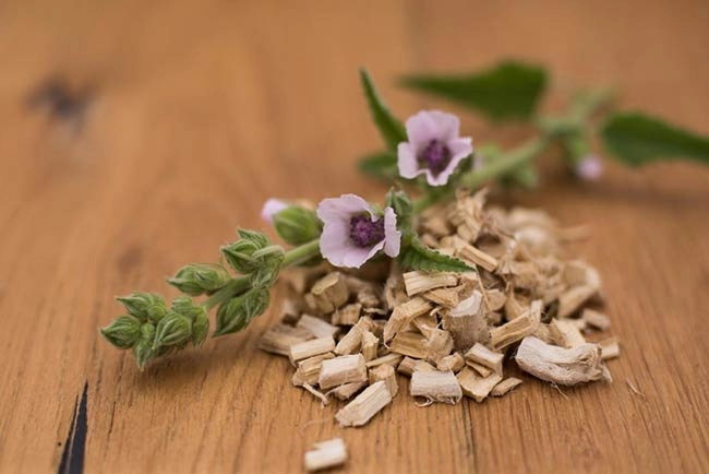 گل ختمی در قطره ایموپرت بیونوریکا