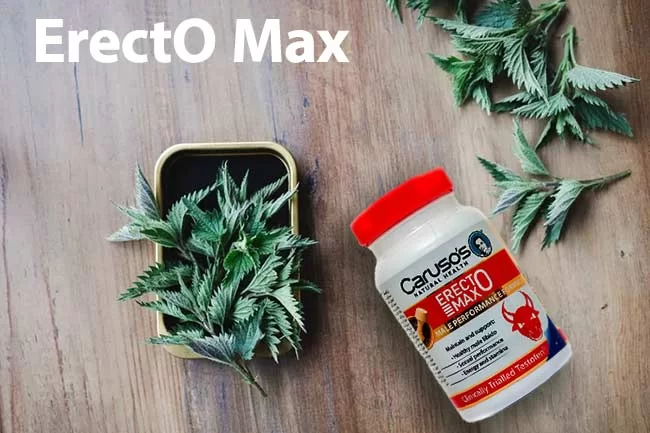 قرص ارکتومکس کاروسوس