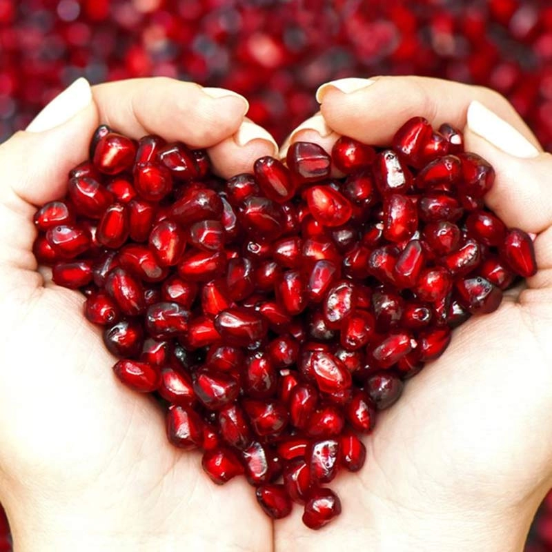 شامپو موهای رنگ شده سینره حاوی عصاره انار