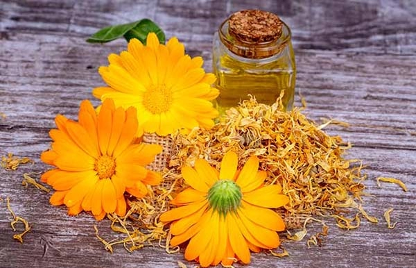 پماد کالاندولا دینه 30 گرم