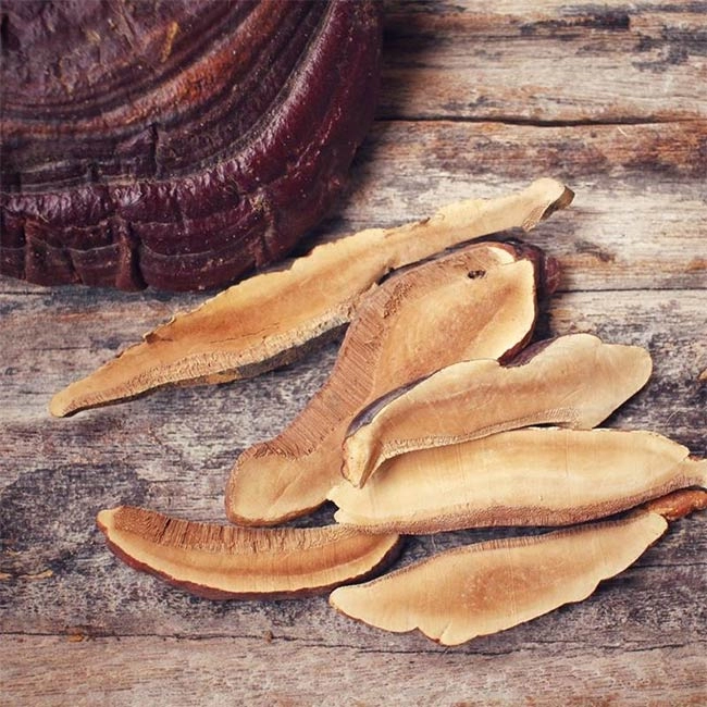 سیستم ایمنی و قارچ گانودرما