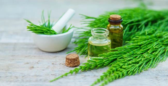 گیاه دم اسب و فواید آن در قرص هیر بیوتی یوروویتال