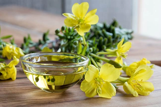 گل مغربی در رویال بیوتی یورو ویتال
