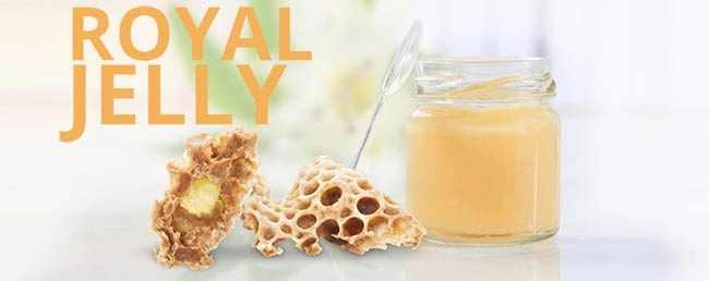 فواید ویال رویال ژلی یورو ویتال