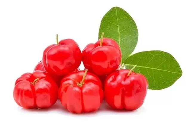 فواید آسرولا در تقویت سیستم ایمنی بدن