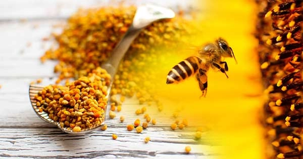 خرید رویال ژلی هلث برست