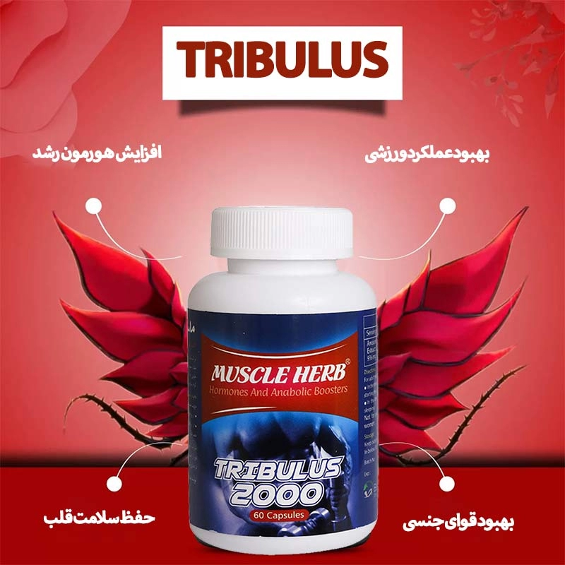 خرید کپسول تریبولوس 2000 ماسل هرب