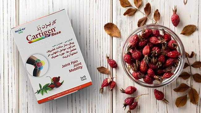 کارتیژن رز