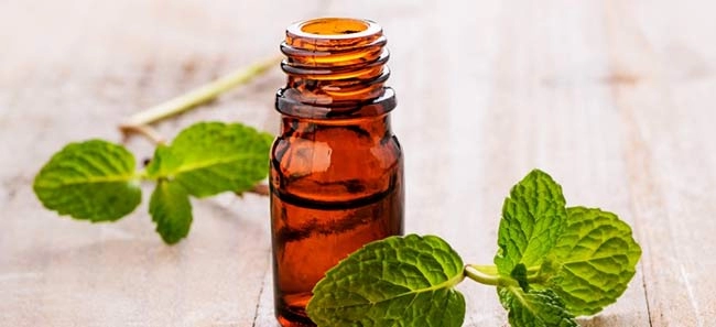 فواید روغن نعنا فلفلی در بدن و دستگاه گوارش