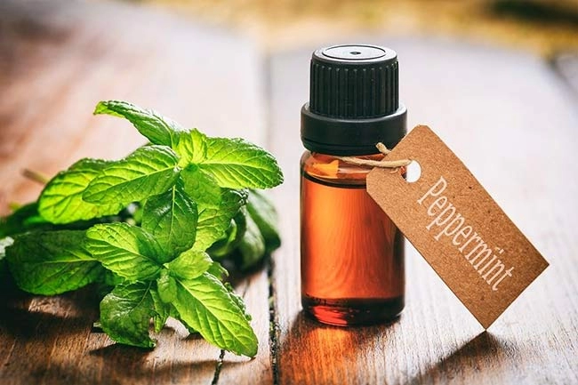 پرومینتا آی بی اس
