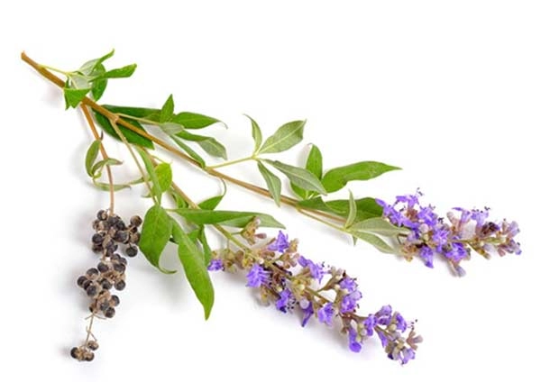 قطره گیاهی ویتاگنوس برای پریود و یائسگی