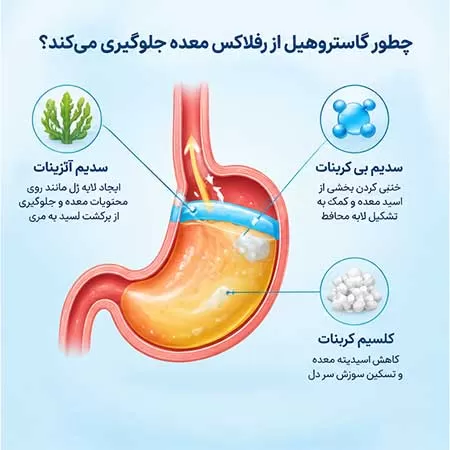 گاستروهیل چیست