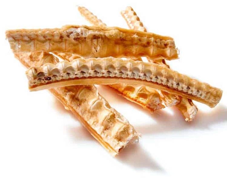 غضروف کوسه ماهی چیست