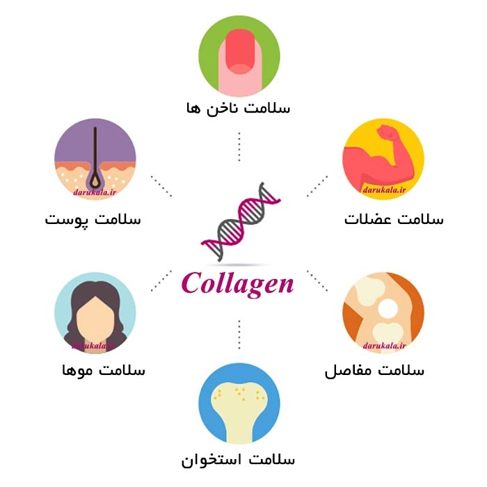 تاثیر کلاژن بر پوست و مو