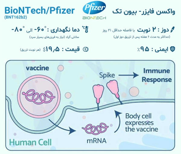 واکسن فایزر