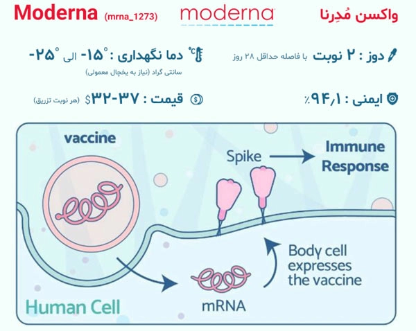 واکسن مدرنا