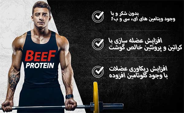 خرید و قیمت پودر بیف پروتیین دوبیس نوتریشن