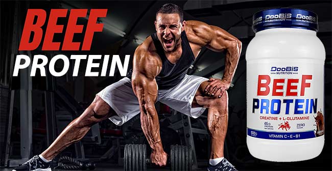 پروتئین گوشت دوبیس (بیف پروتئین)