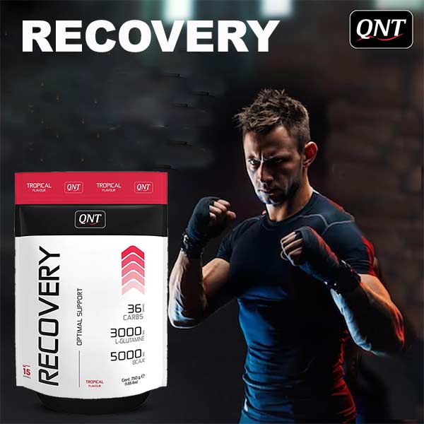 خرید پودر ریکاوری کیو ان تی