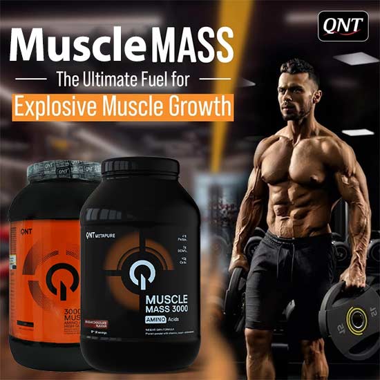 ماسل مس کیو ان تی