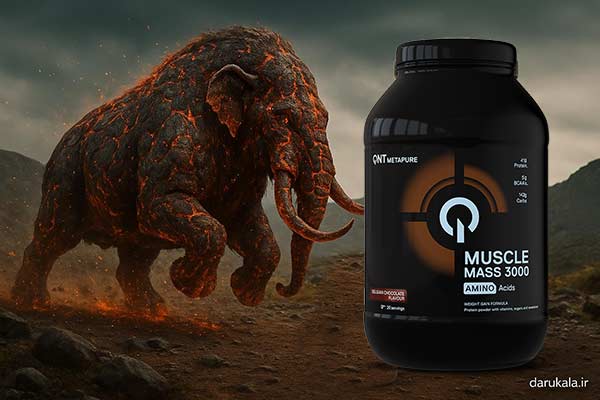 پودر گینر ماسل مس 3000 کیو ان تی